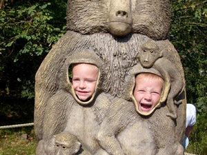 Safaripark Beekse Bergen afbeelding #2